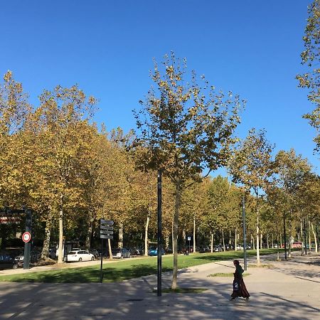 Carmes - Jardin - Studio Pied A Terre En Hyper Centre Διαμέρισμα Τουλούζη Εξωτερικό φωτογραφία
