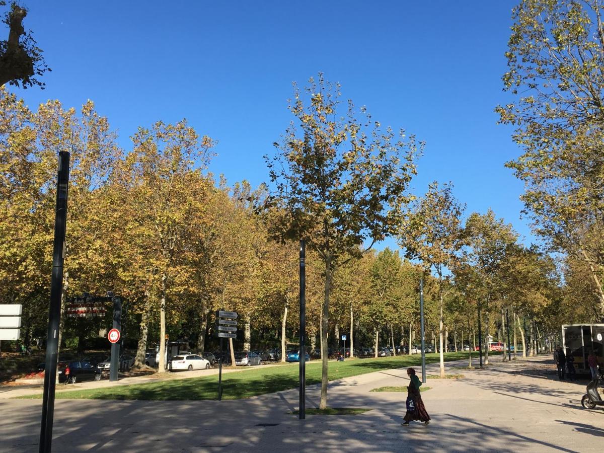 Carmes - Jardin - Studio Pied A Terre En Hyper Centre Διαμέρισμα Τουλούζη Εξωτερικό φωτογραφία